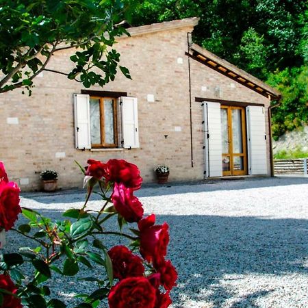Bed and Breakfast Calmancino Delle Selve à Urbino Extérieur photo
