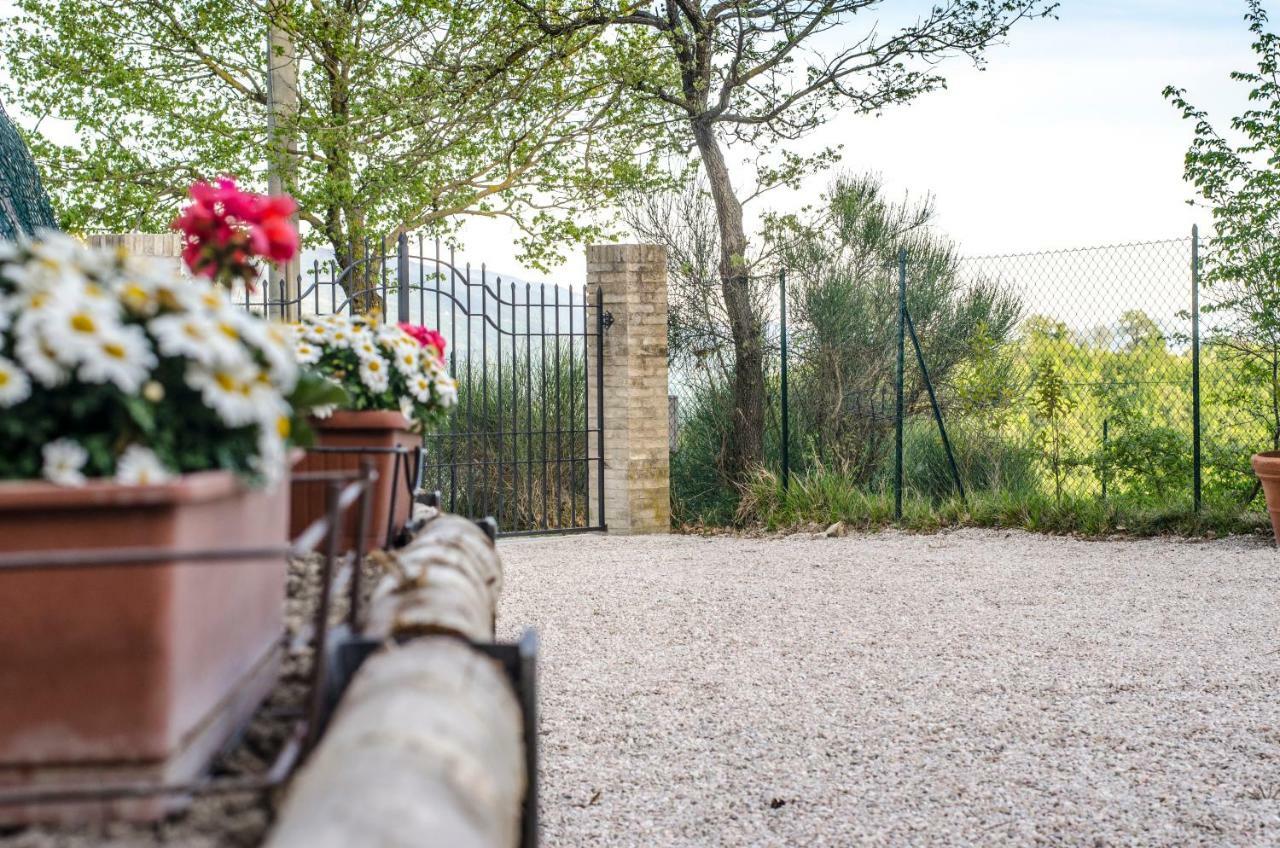 Bed and Breakfast Calmancino Delle Selve à Urbino Extérieur photo