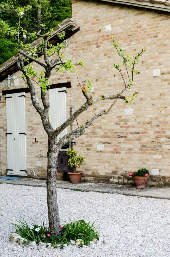Bed and Breakfast Calmancino Delle Selve à Urbino Extérieur photo