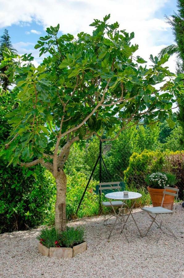 Bed and Breakfast Calmancino Delle Selve à Urbino Extérieur photo