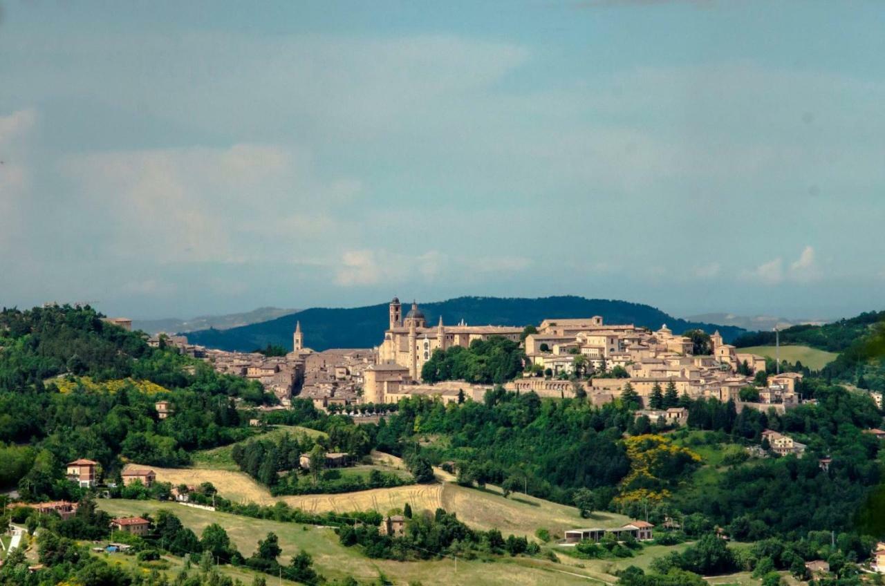 Bed and Breakfast Calmancino Delle Selve à Urbino Extérieur photo